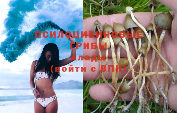 jwh Армянск