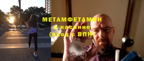 индика Новодвинск