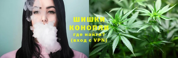 дмт Арсеньев