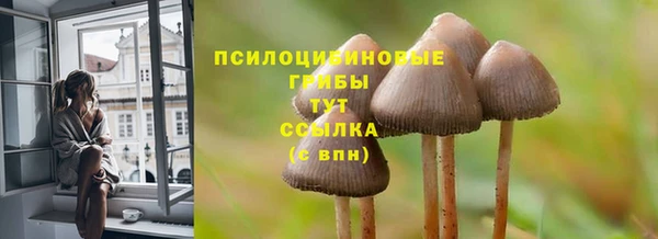 дмт Арсеньев