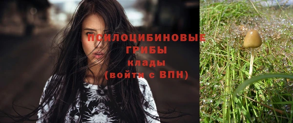 метадон Аркадак