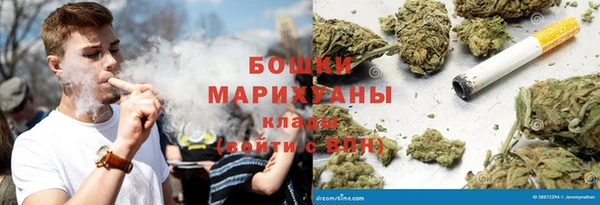 дмт Арсеньев