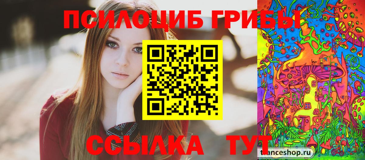 Майкоп  Псилоцибиновые грибы мухоморы  Вход с VPN 
